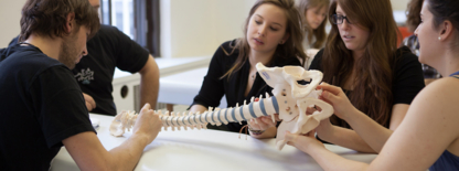 Collège d'Etudes d'Ostéopathie - Osteopaths