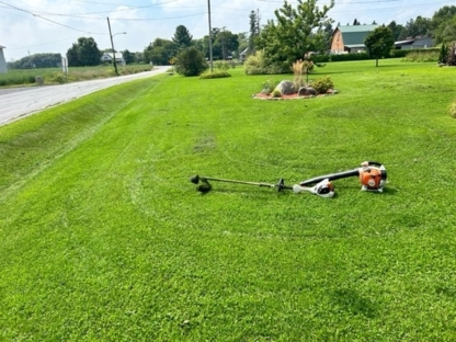 A1 Gazon - Lawn Maintenance