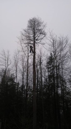 Les Entreprises SGL - Service d'entretien d'arbres