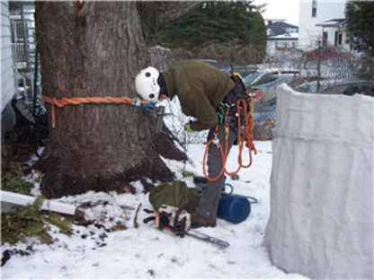 Arbolog - Tree Contractors' Equipment