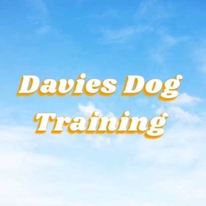View Davies Dog Training’s Devon profile