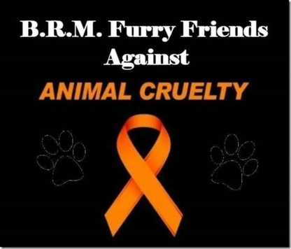 BRM Furry Friends Grooming & Health Care - Pet Grooming, Clipping & Washing