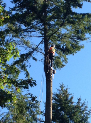 RPM Tree Service - Service d'entretien d'arbres