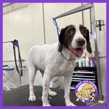 View Twisted Tails Grooming’s Coderre profile
