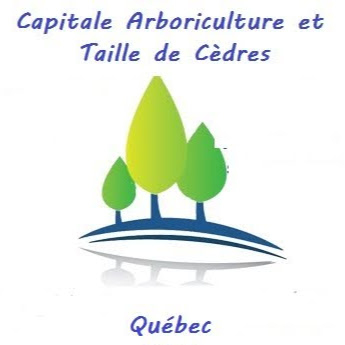 Capitale Arboriculture et Taille de cèdres - Tree Service