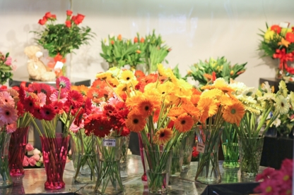 Terrafolia Flowers - Fleuristes et magasins de fleurs