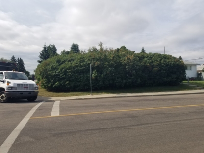 Burns Contracting Ltd - Service d'entretien d'arbres