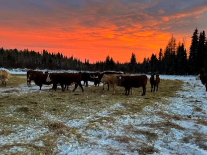 LCRanch Animal Nutrition & Feed Supplies - Farm & Ranch Services