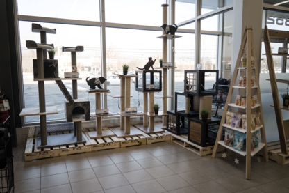 Mondou - Magasins d'accessoires et de nourriture pour animaux