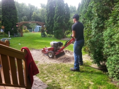 Good Friend Yard Services & Tree Trimming - Service d'entretien d'arbres