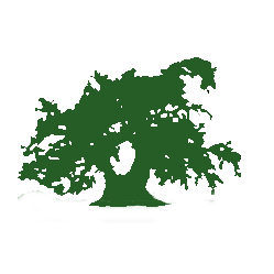 À VOTRE SANTÉ - Epicerie Santé - Marché Bio Organic Vegane - Tea Shop - Cafe en Vrac - Cosmetics - Massage Therapists