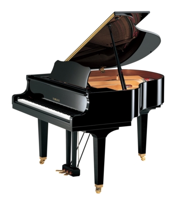 Accordeur de piano Claude Belisle - Piano Tuning, Service & Supplies