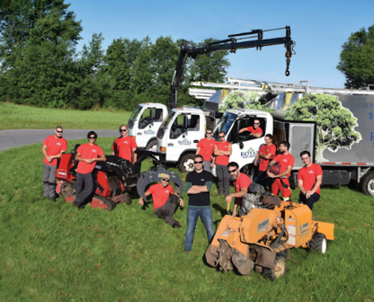 Royal Tree Service - Tree Service