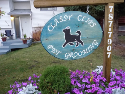 Classy Clips Pet Grooming - Pet Grooming, Clipping & Washing