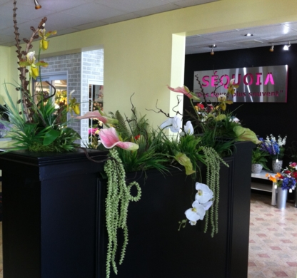 Séquoia - Florists & Flower Shops