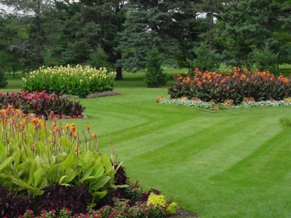 Shirley's Landscaping Services - Paysagistes et aménagement extérieur