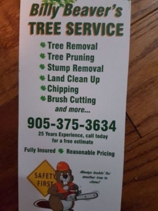 Billy Beaver's Tree Service - Service d'entretien d'arbres