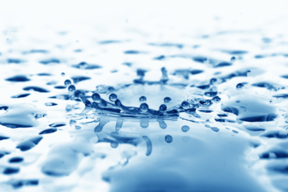 Sécurité AquaDétect - Water Damage Restoration