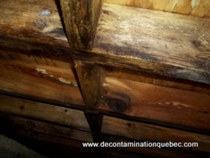 Décontamination Québec Inc - Rénovations