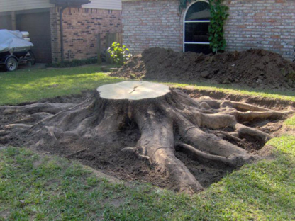 Chuba Stump Grinding - Tree Service
