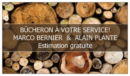 Les Entreprises Bernier - Service d'entretien d'arbres