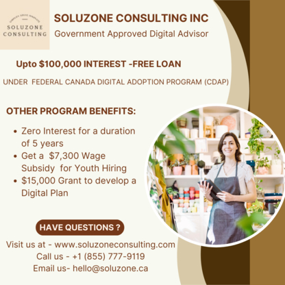 Soluzone - Business Management Consultants