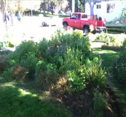 Eric's Lawn Care and Garden Design - Lawn Maintenance