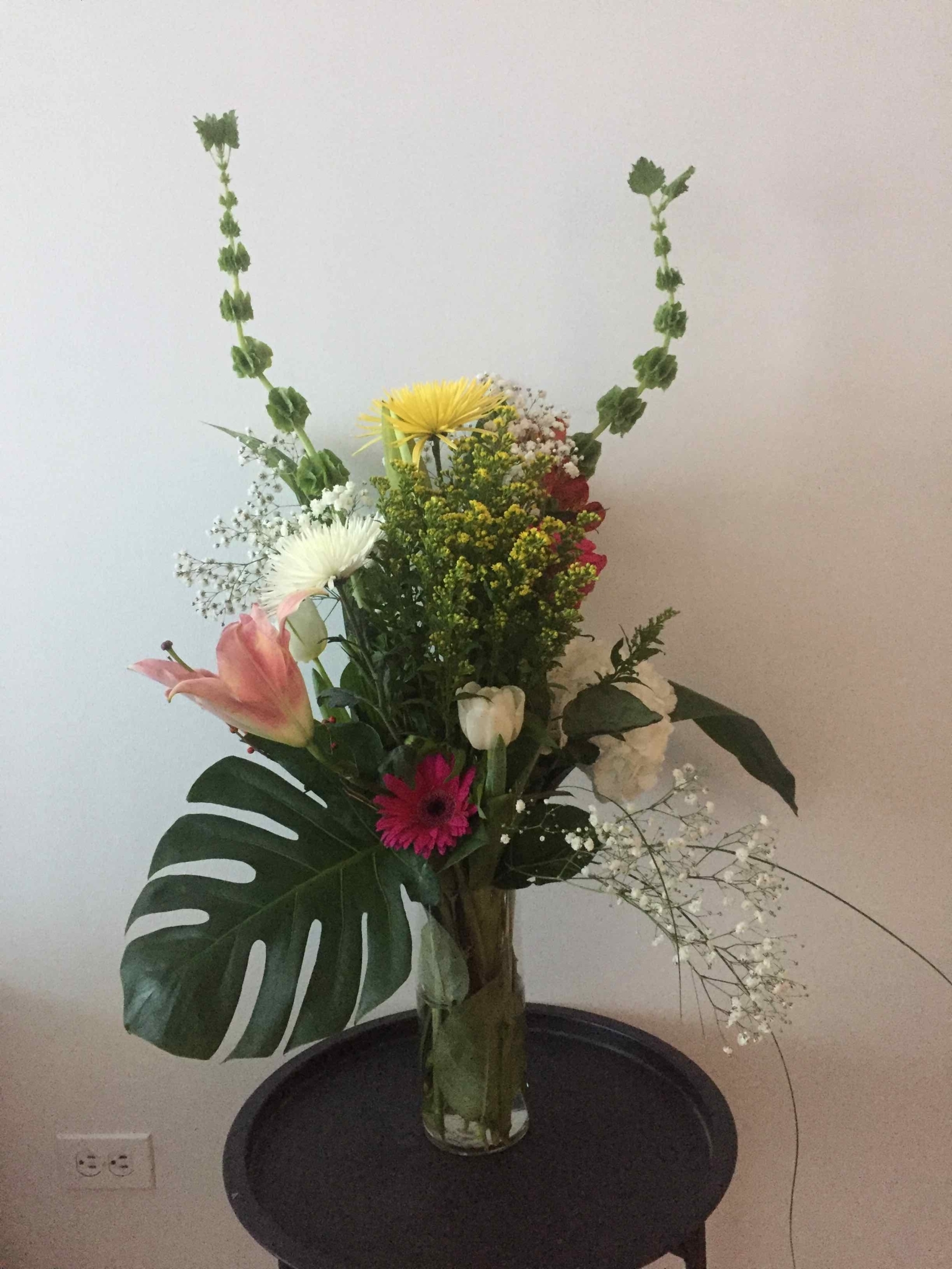 Fleuriste St Jean Horaire d'ouverture 1374, rue Ontario E, Montréal, QC