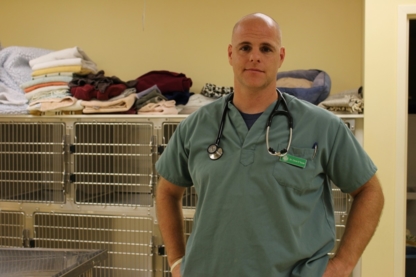 Bloor West Village Animal Hospital - Vétérinaires