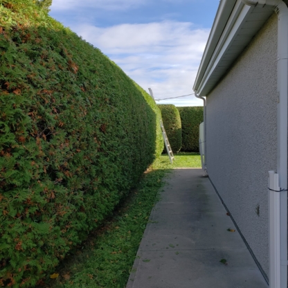 L'Escouade des Arbres - Garden Centres