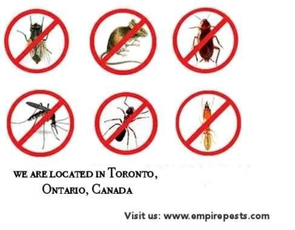 Empire Pest Control - Extermination et fumigation