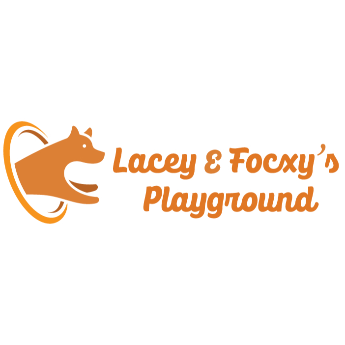Lacey And Foxy's Playground - Party Planning Service