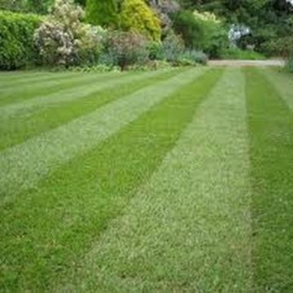 D's Lawn Care and Maintenance - Lawn Maintenance