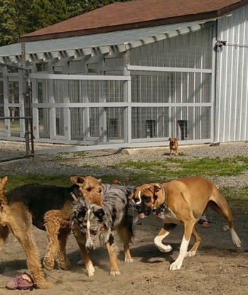 It's a Dog's Life Boarding Kennel - Garderie d'animaux de compagnie