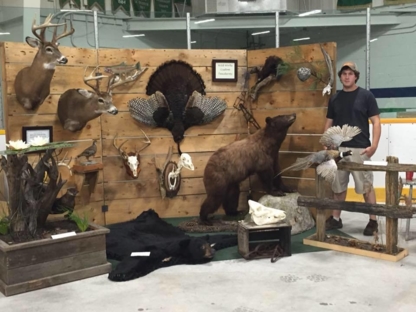 Wild Work's Taxidermy - Taxidermistes