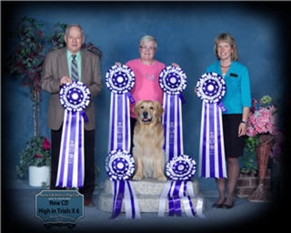 Canine Instructional Academy Of Manitoba Inc - Dressage et éducation d'animaux de compagnie