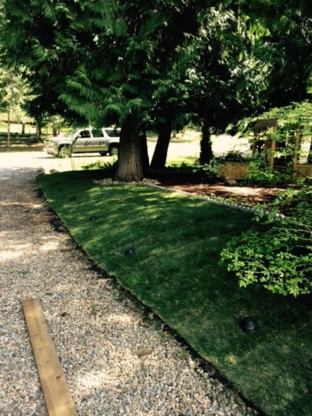 Willey's Tree and Yard Service - Tree Service