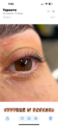 Lash Pro Studio | Eyelash Extensions, Brow Lamination & Training - Eyelash Extensions