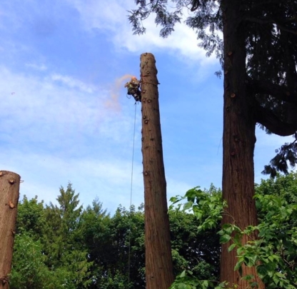 ArborGreen Tree Care Specialists - Tree Service