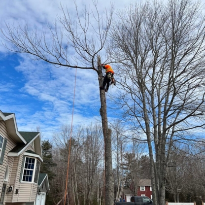 Indie Tree Service - Service d'entretien d'arbres