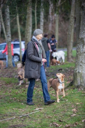 Yogadog Dog Training - Dressage et éducation d'animaux de compagnie