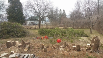 Les Entretiens du Terroir - Service d'entretien d'arbres