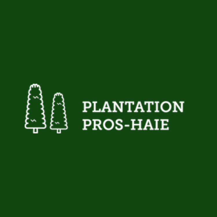 Plantation Pros-Haie de cèdres - Service d'entretien d'arbres