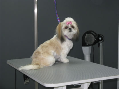 Studio Canin 2000 - Pet Grooming, Clipping & Washing