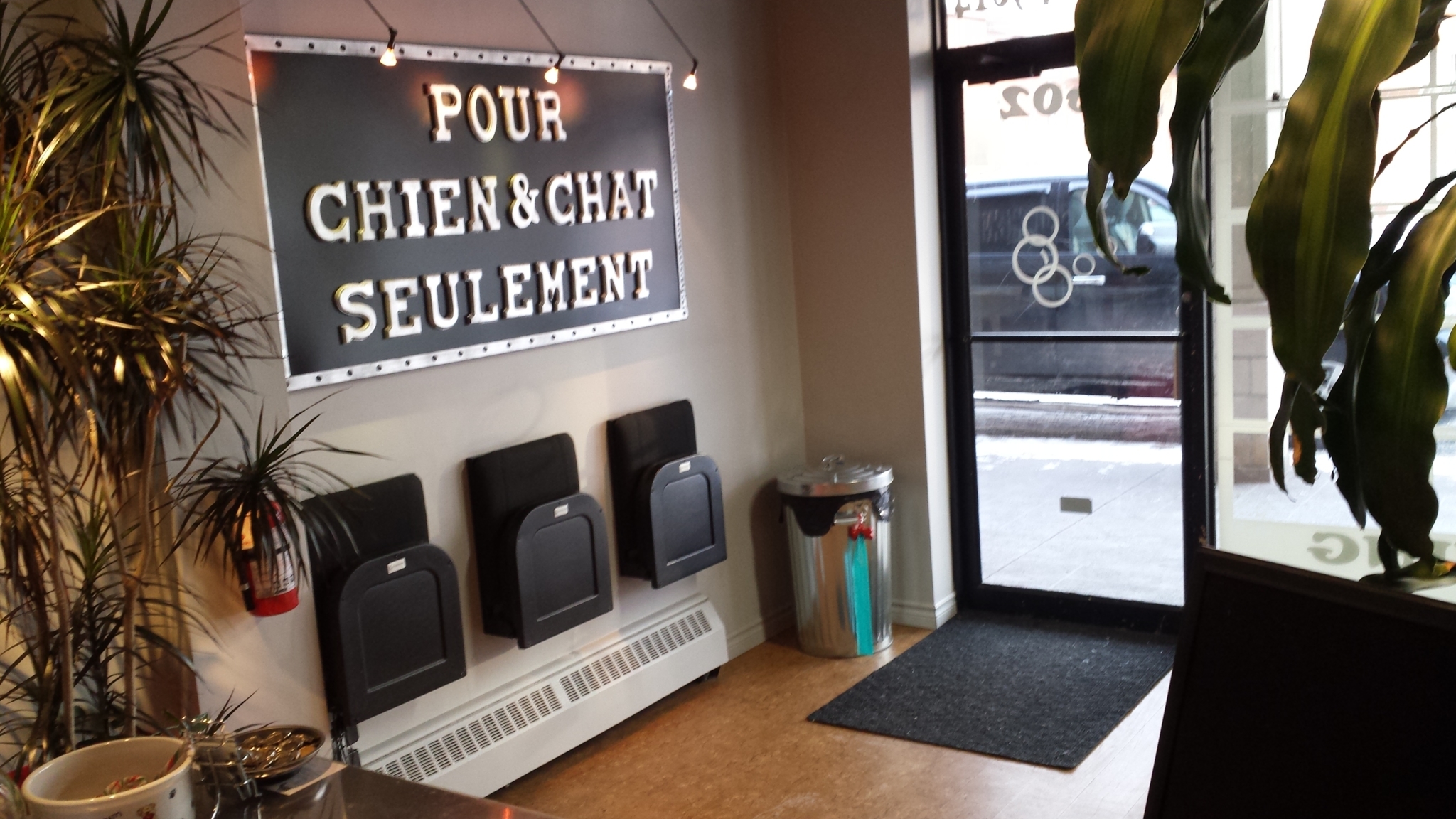 Pour Chien Et Chat Seulement Opening Hours 8602 Rue