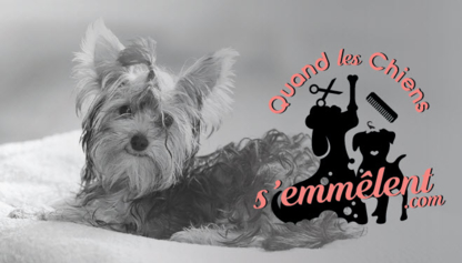 Quand les chiens s'emmêlent - Pet Grooming, Clipping & Washing