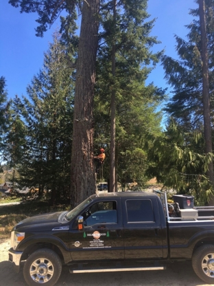 Heartwood Tree Service - Service d'entretien d'arbres