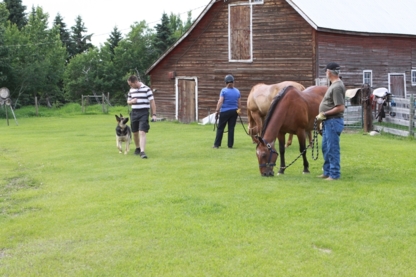 Dog Squad - Calgary Dog Trainer - Dog Training & Pet Obedience Schools