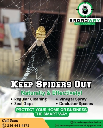 Broadway Pest Control - Best Pest Control Service in Surrey | Exterminator, Rodent Control & Pest Control Surrey BC