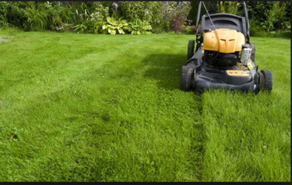 Glen's Grass Cutting and Snow Removal - Lawn Maintenance